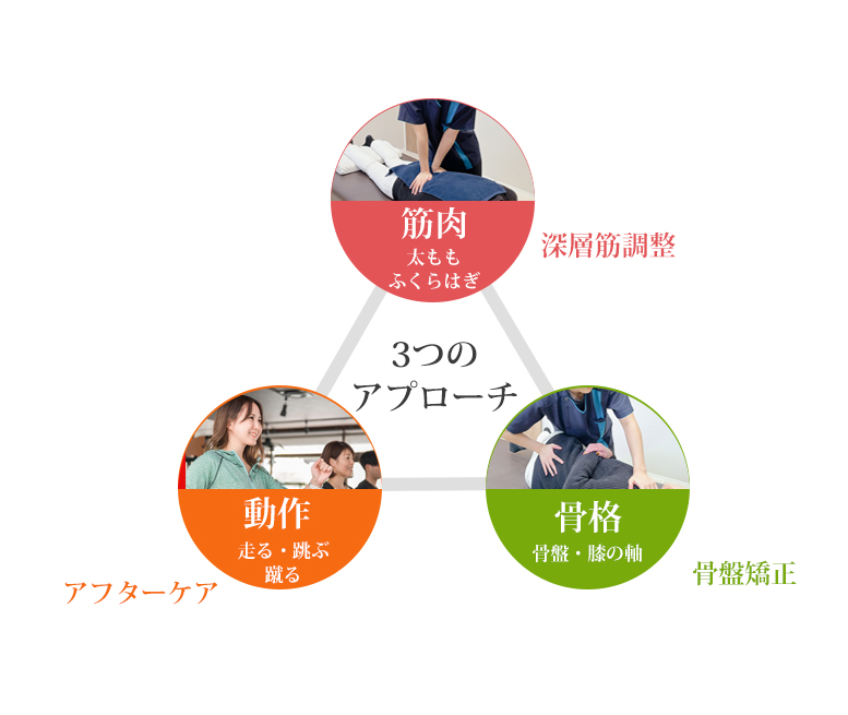 筋肉・動作・骨格の3つのアプローチ図