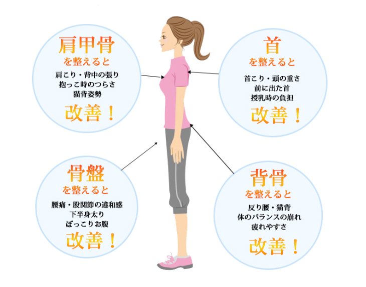 肩甲骨・首・骨盤・背骨を整えるとどう変わるか