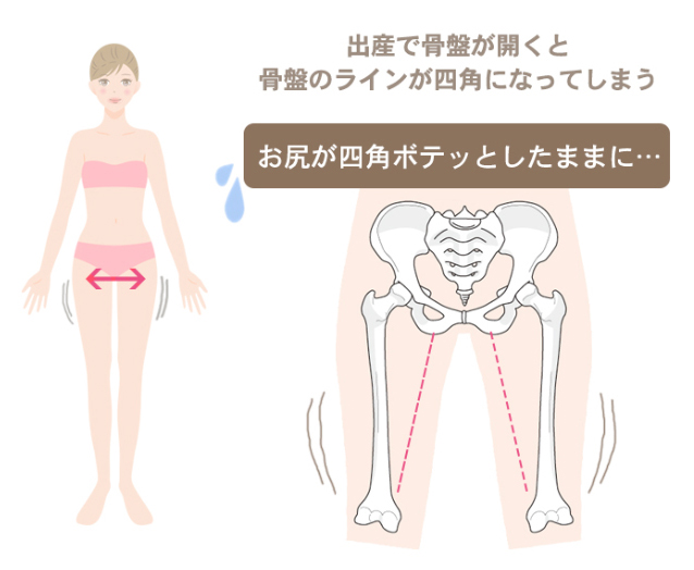 骨盤が台形の状態になる仕組み