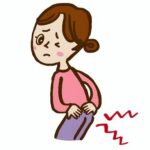 坐骨神経と内蔵の関係性